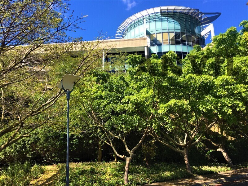 Tygerberg Office Park - Duplicate Building Created - Phase 5, ex ABSA property image 35