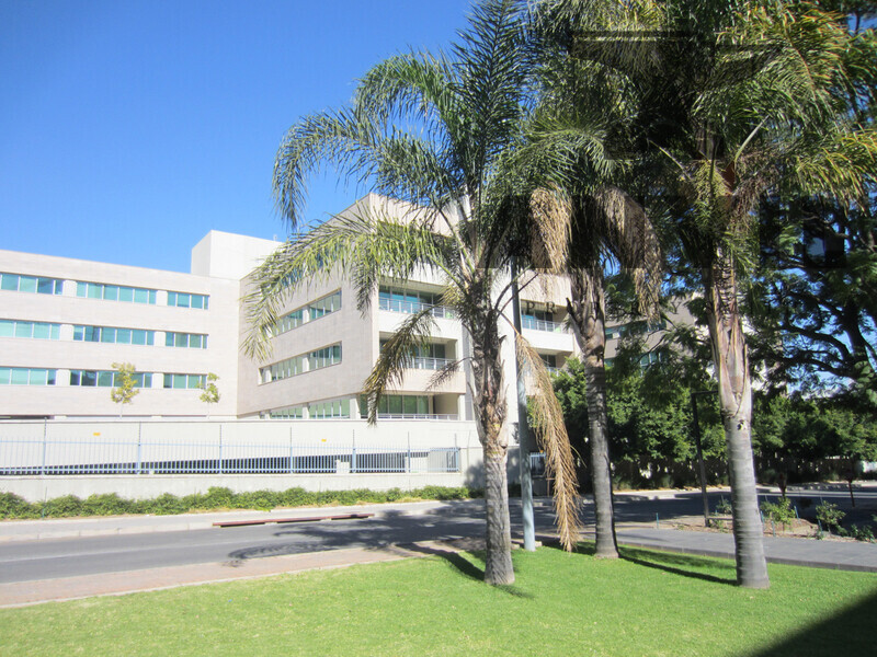 89 Bute Avenue, Sandown - Ground Floor North Wing property image 18