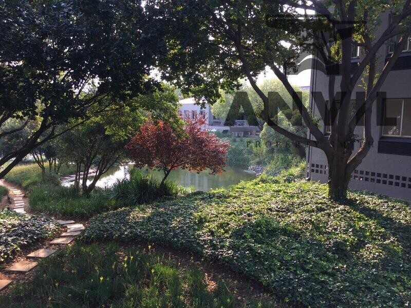 Lincoln Wood Office Park, Woodmead, Sandton - F002 GF property image 11