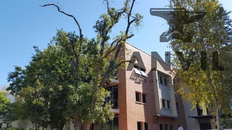 Ballyoaks Office Park, Pin Oak, Bryanston - Pin Oak House, Ground Floor property image 13