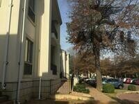 Parc Nicol 3001 Office Park, Building 5, Bryanston, Sandton - Building 5- GRD FLR property image 1