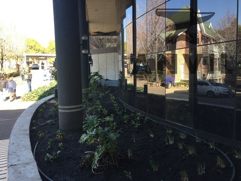 27 Ridge Road, Parktown - A02024A property image 31