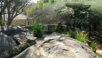 21C Polo Crescent, Woodmead Office park, Woodmead, Sandton - Entire Building property image 15