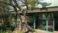 21C Polo Crescent, Woodmead Office park, Woodmead, Sandton - Entire Building property image 16