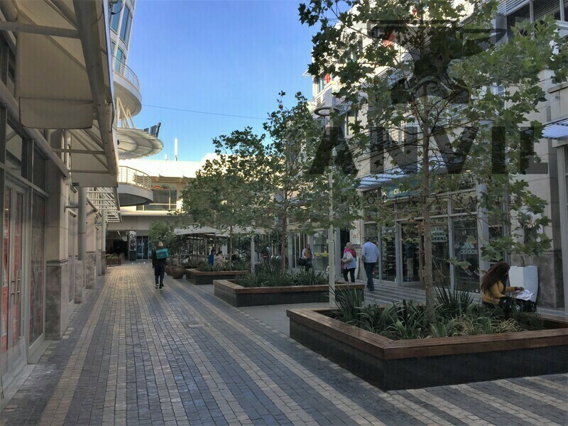 Rosebank Loft Offices  - Loft Offices - 2nd Floor (LOW2FL ex-Cotton) property image 52