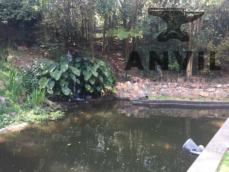 11 Eton Road - Entire First Floor to Let property image 46