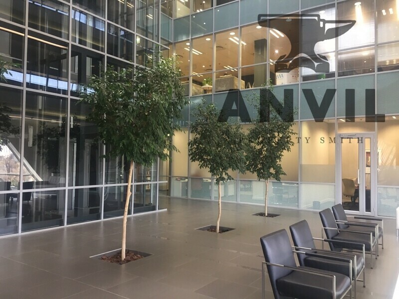 22 Wellington Road in Parktown  - Ground Floor Suite - Entire Floor Plate to Let property image 66