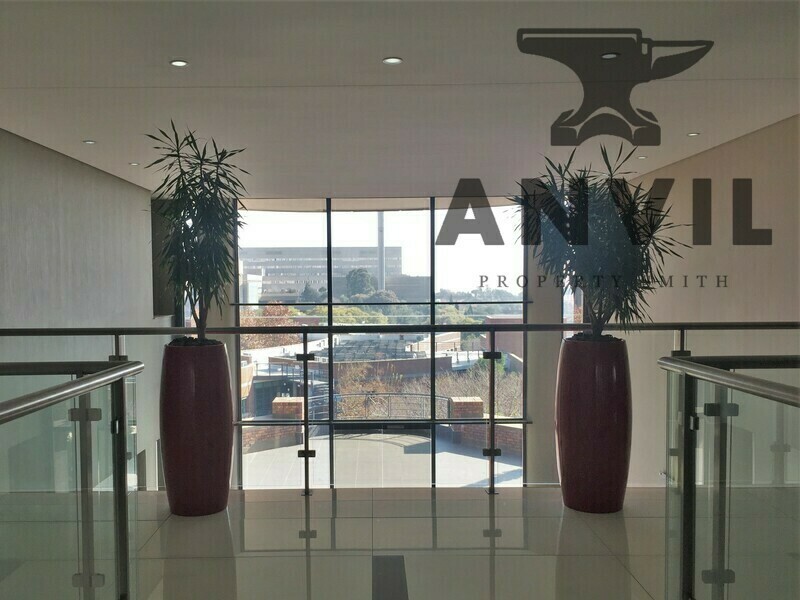 Sunnyside Office Park, Parktown - Building D - 4th Floor property image 15