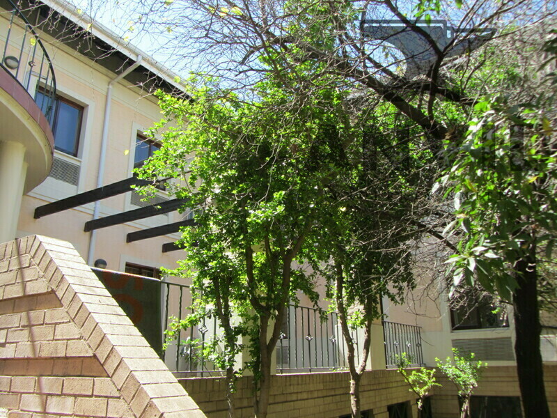 Thornhill Office Park Building 01 Midrand - Ground Floor property image 3