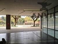 Servamus Building (Lakeview) - SF - Unit 201 property image 11