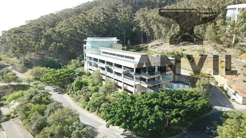 Tygerberg Office Park - Drakenzicht - First Floor property image 3