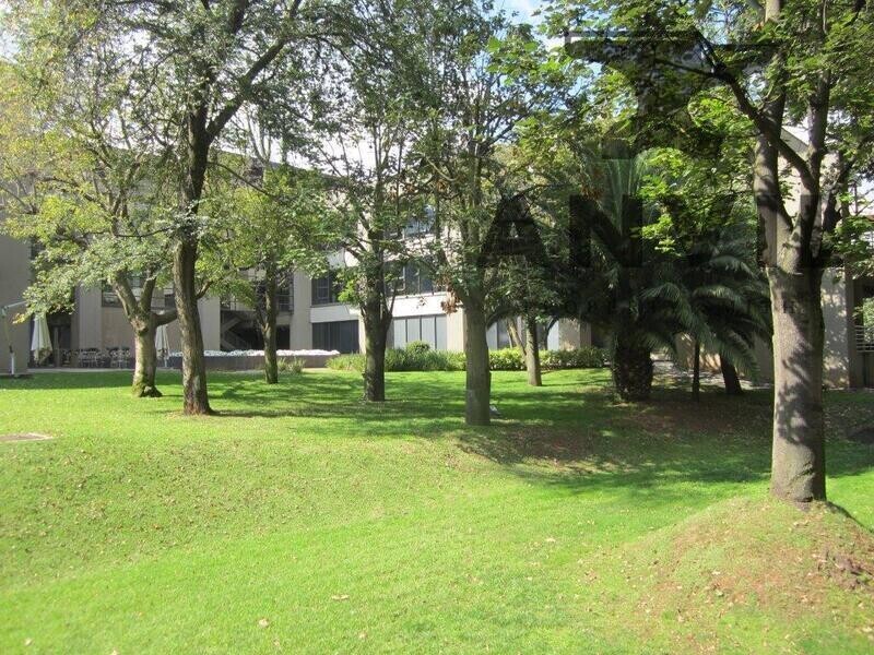 The Reserve, Illovo - First Floor - North Wing property image 48