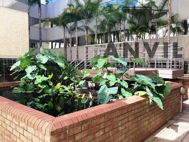 1 Sturdee Avenue - OF0011 property image 28