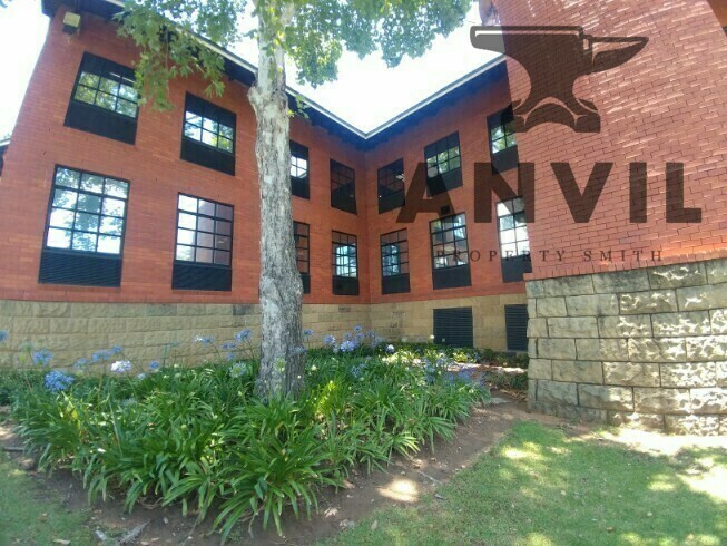 Block G, Glasgow House, Peter Place Office Park, Bryanston - BLOCK G GROUND FLOOR property image 37