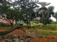 79 Lynnwood Road, Lynnwood, Pretoria - Erf 01 property image 15