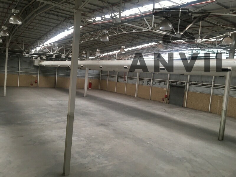 Haarlem Street, Hermanstad - Unit 1 property image 12