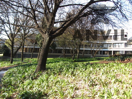 Pellmeadow Office Park - 01/AS1 First Floor Block A property image 18
