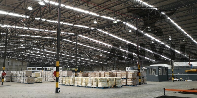 6 Jupiter Road, Cleveland - 6 Jupiter Road, Jupiter Ext.1 property image 3