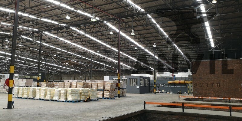 6 Jupiter Road, Cleveland - 6 Jupiter Road, Jupiter Ext.1 property image 4