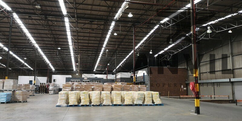 6 Jupiter Road, Cleveland - 6 Jupiter Road, Jupiter Ext.1 property image 8