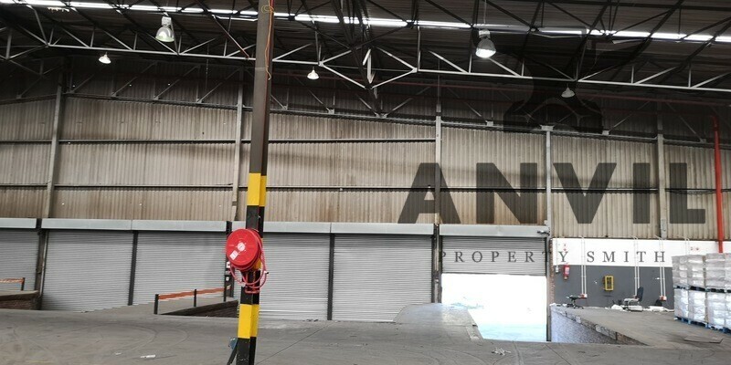 6 Jupiter Road, Cleveland - 6 Jupiter Road, Jupiter Ext.1 property image 11