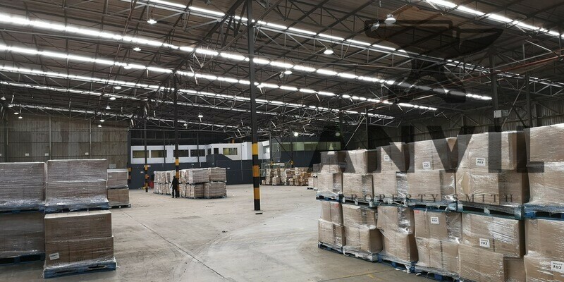 6 Jupiter Road, Cleveland - 6 Jupiter Road, Jupiter Ext.1 property image 13