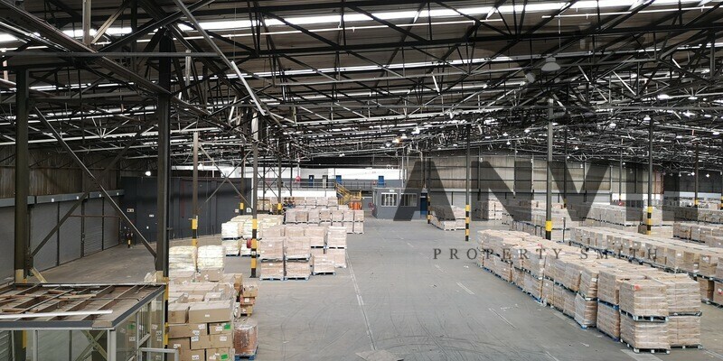 6 Jupiter Road, Cleveland - 6 Jupiter Road, Jupiter Ext.1 property image 33