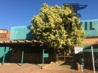 327 Koos De La Rey Street, Pretoria North - Unit Warehouse 1 property image 37