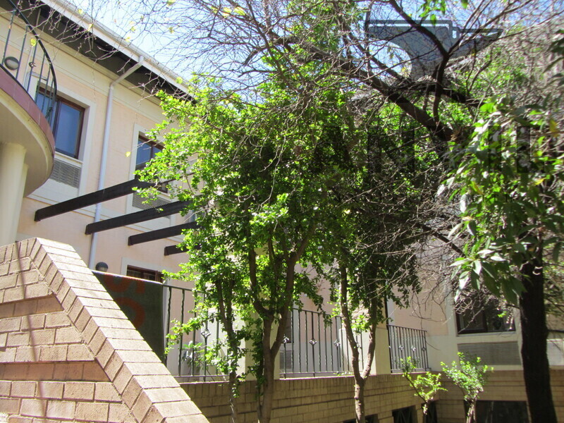 Thornhill Office Park Building 01 Midrand - Entire Building - Block 1 property image 19