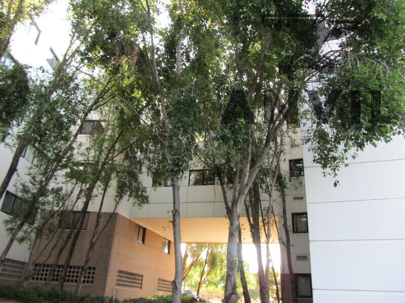 Midrand IBG, Midrand - OF0012 property image 35