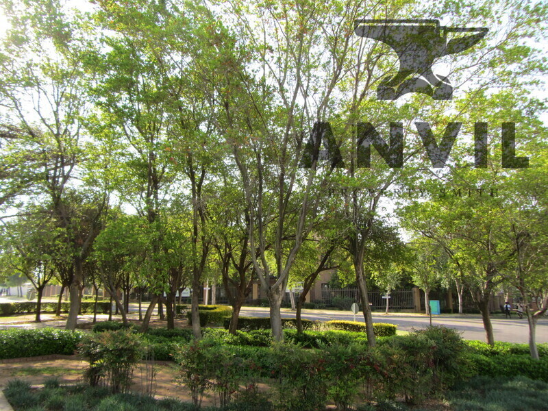 Midrand IBG, Midrand - OF0012 property image 51