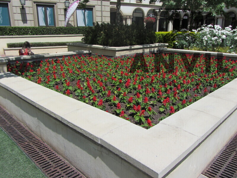 The Pivot, Fourways, Sandton - Block D - Second Floor property image 25