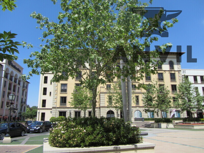 The Pivot, Fourways, Sandton - Block D - Second Floor property image 36