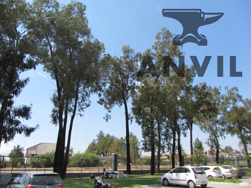 Willow Wood Office Park, Fourways - Block B, Section 203 property image 24