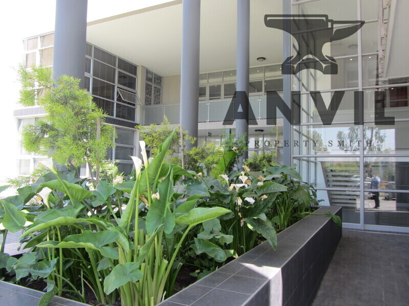 Willow Wood Office Park, Fourways - Block B, Section 203 property image 38