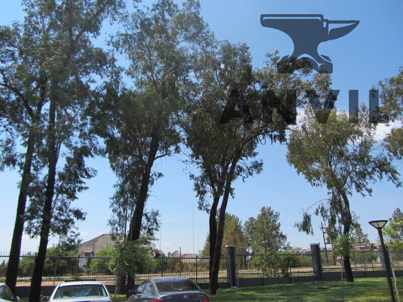 Willow Wood Office Park, Fourways - Block B, Section 203 property image 50