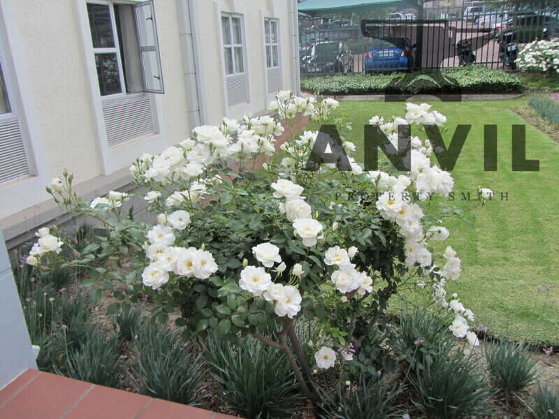 Nanyuki Office Park, Building 1, Sandton - Building 1 property image 29