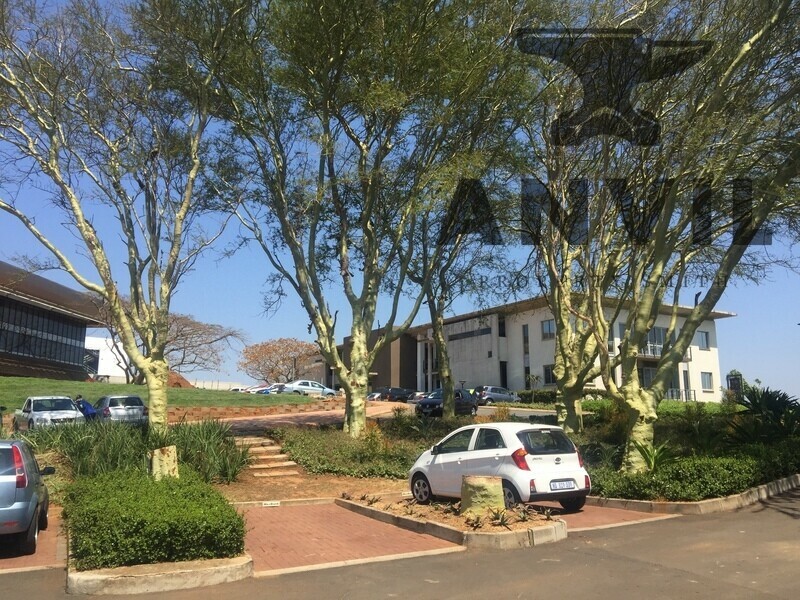 The Glass House, Glass House Office Park, Somerset Park, Umhlanga - Lower Ground Floor, Glass House Office park, 309 Umhlanga Rocks Drive property image 12