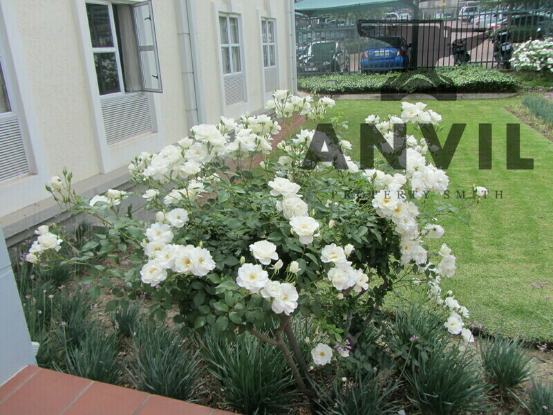 Nanyuki Office Park, Building 1, Sandton - Building 1 property image 12