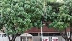 14 Kloof Street - Ground Floor property image 6