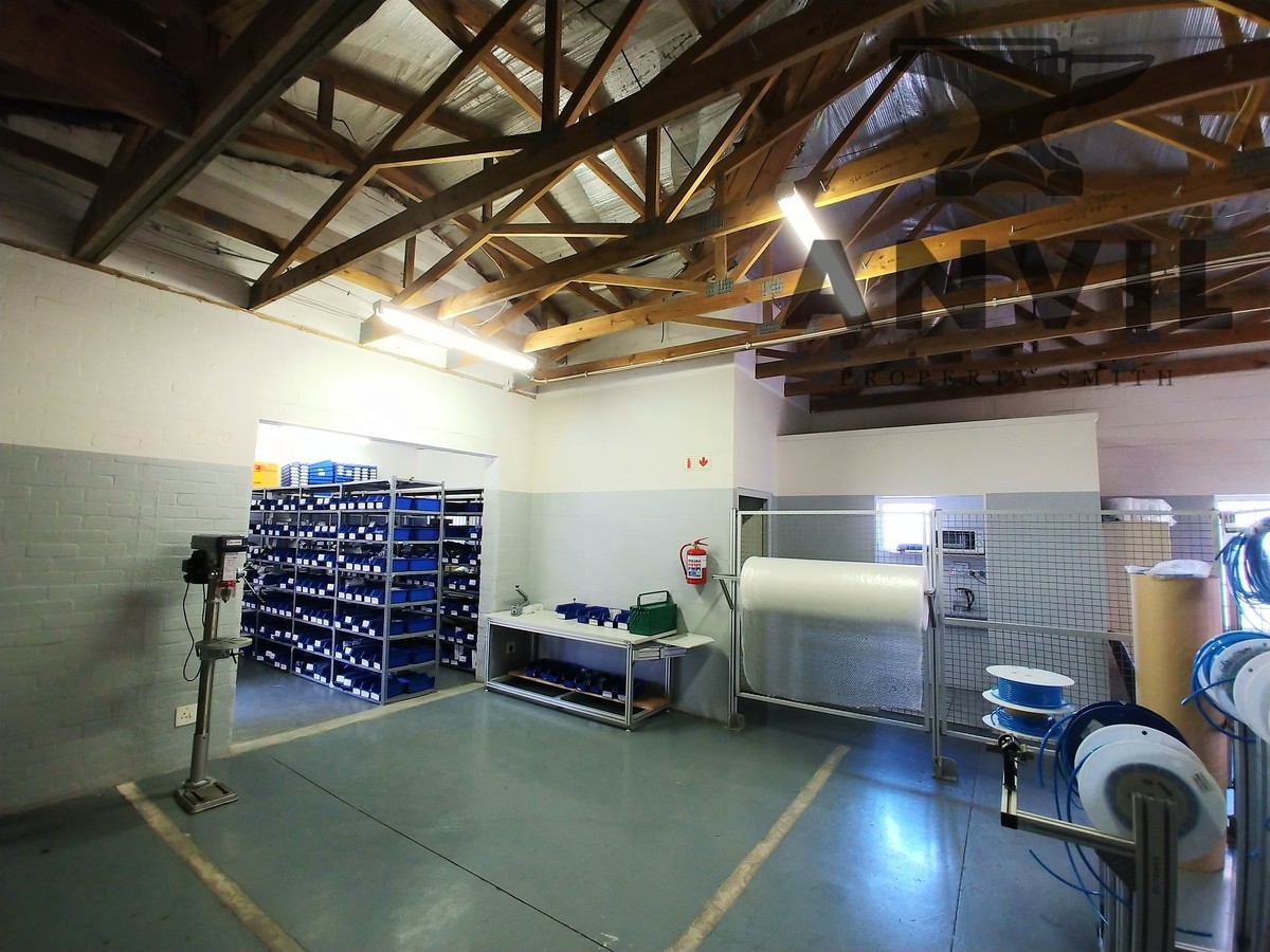 Warehouse Space 66 Section Street, Paarden Eiland 38504