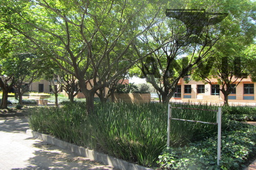Thandanani Park, Midrand - Two Office Blocks property image 23