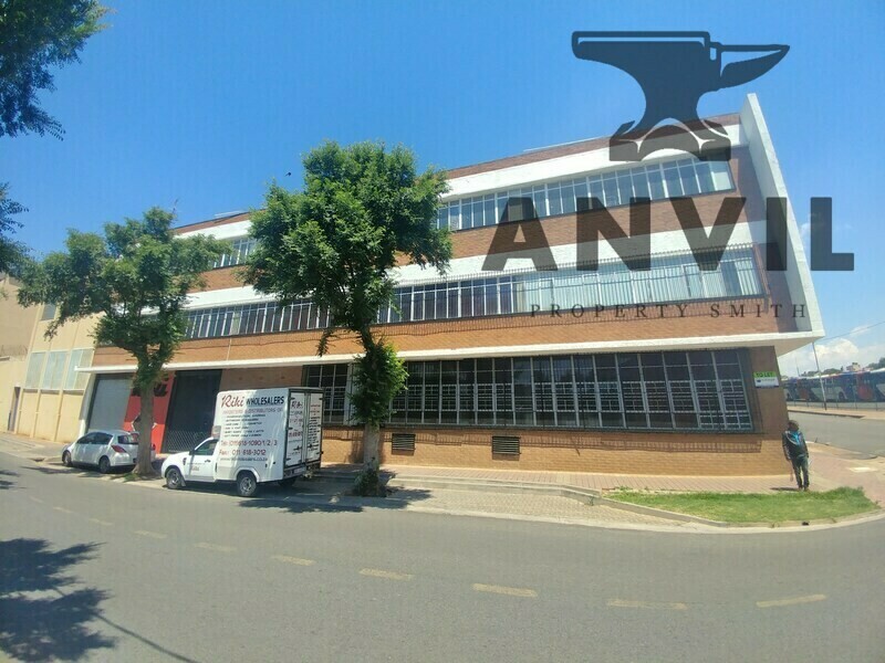 36 Miller Street - Freestanding Building property image 3