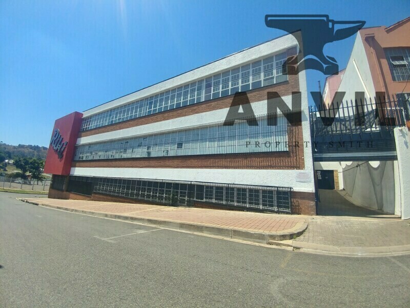 36 Miller Street - Freestanding Building property image 4