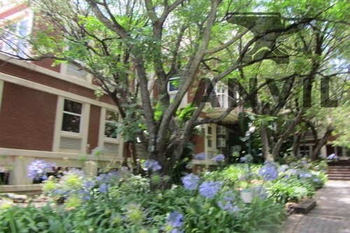 Waterfall View - Waterfall Park, Midrand - wcren grnd property image 5