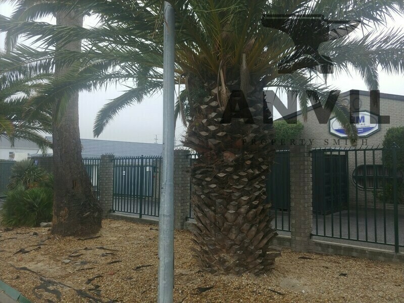 20 Station Rd, Montague Gardens - Unit 2 property image 17