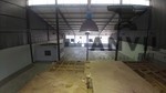 Robertville Mini Factories - Unit C4 property image 24