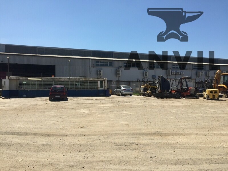 38 Anthurium Place, Springfield - Land property image 21