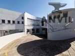 190 Mathews Meyiwa Rd, Greyville - Unit 7 A - Sharks  property image 45