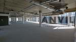 BluBird Office Park - North Block - 2nd Floor - Prime Suite property image 17